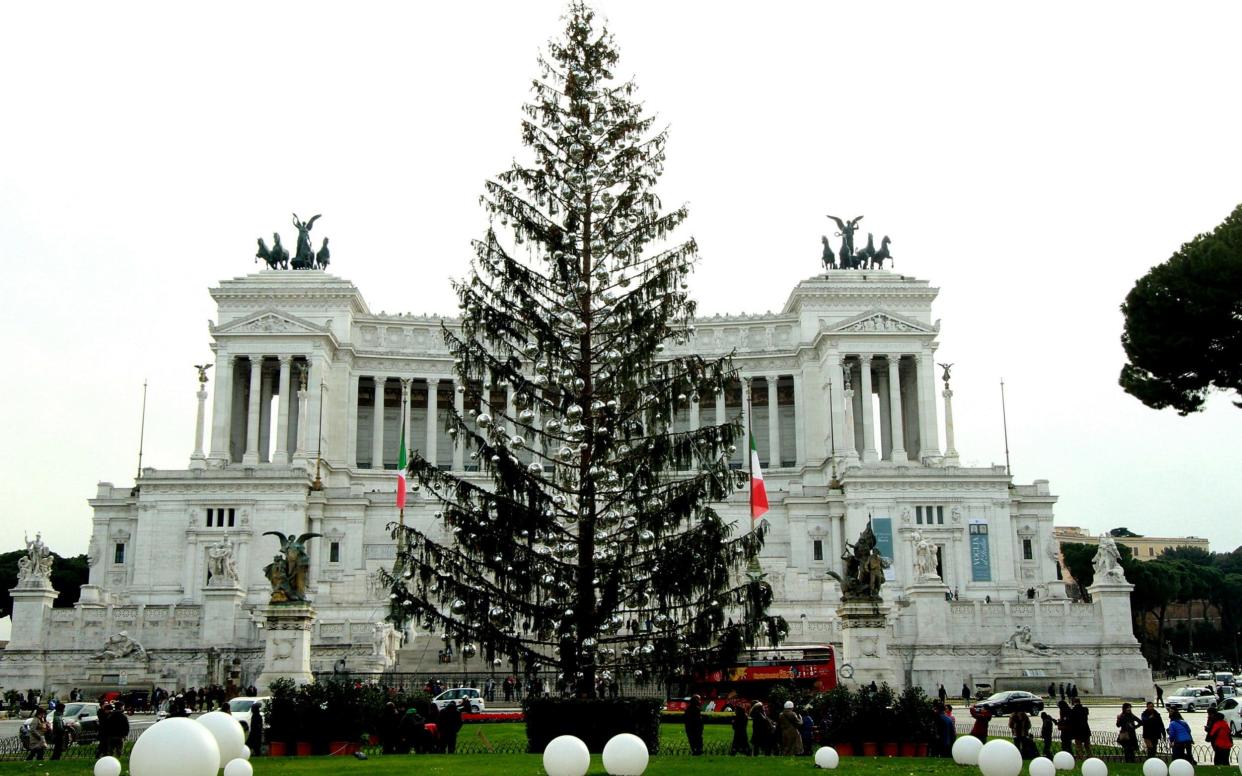 The Christmas tree is so spindly that it has been nicknamed 'the Mangy One' by Romans. - Barcroft Media