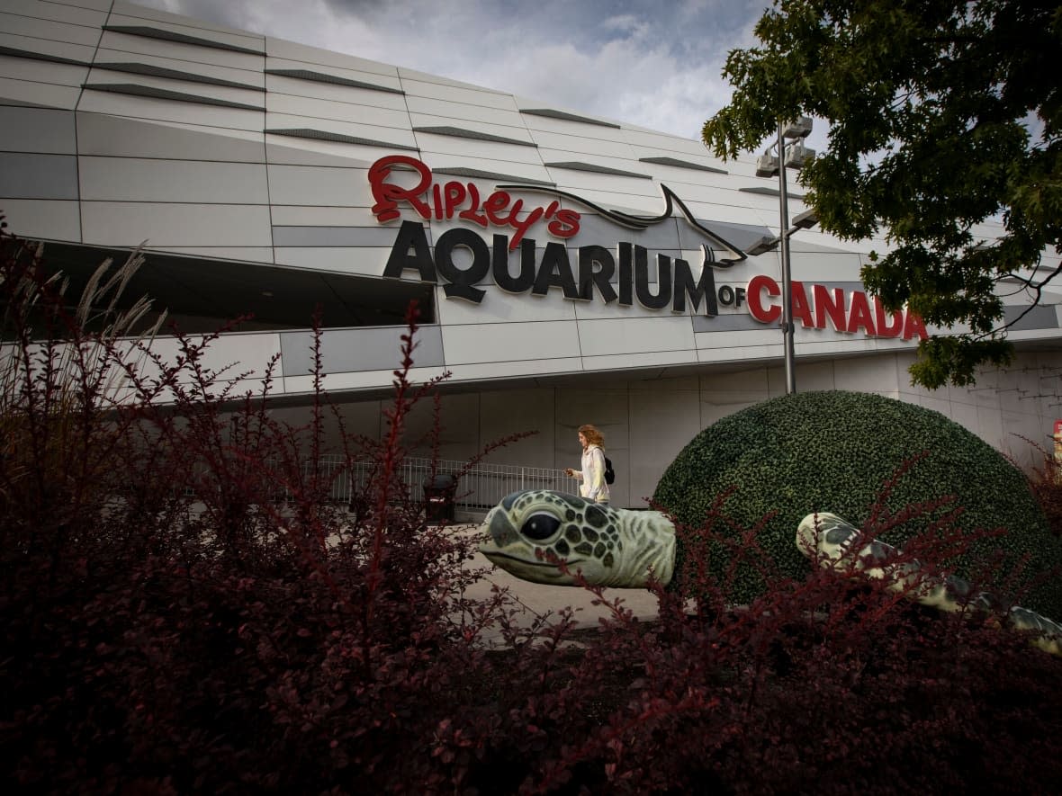 CBC News obtained the list of companies that received grants from the Ontario government's Tourism Recovery Program. There were 55 companies that received the maximum grant of $695,000, including Jim Pattison Entertainment Ltd., whose properties include Ripley's Aquarium in Toronto and Great Wolf Lodge in Niagara Falls. (Evan Mitsui/CBC - image credit)