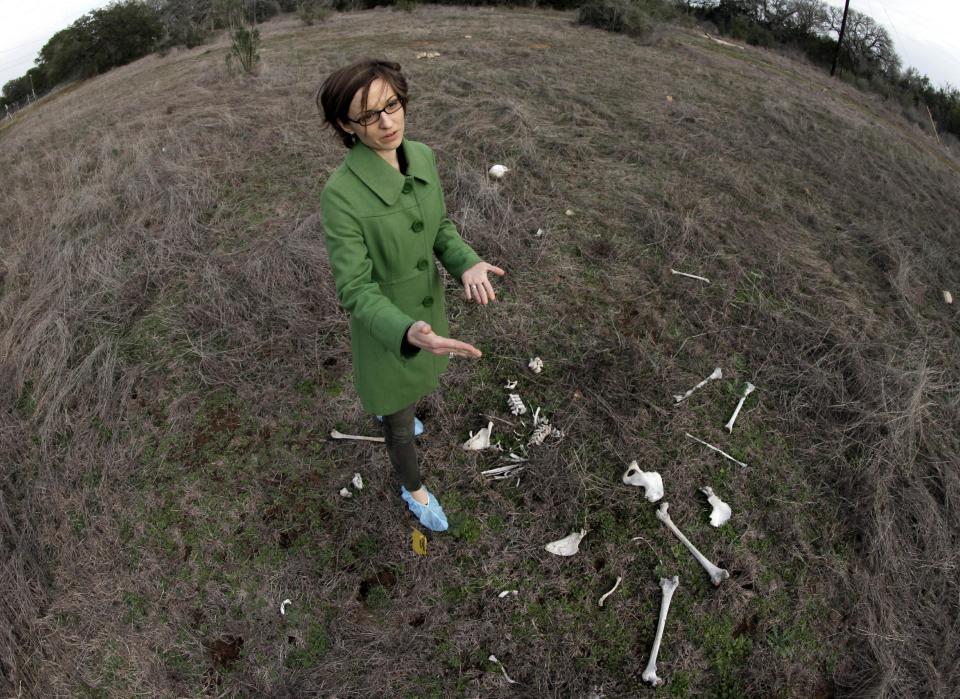 Kate Spradley, an assistant professor at Texas State University, stands over the skeletal remains of Patty Robinson at the school's “body farm,” officially the Forensic Anthropology Research Facility, Thurssday, Feb. 9, 2012, in San Marcos, Texas. Robinson donated her body for research at the school. What they're finding at the research facility debunks some of what they and other experts believed about estimating time of death for a person whose remains are found outdoors and exposed to the environment. (AP Photo/David J. Phillip)