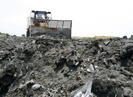 A worker operates heavy machinery while compacting ash into a landfill at Semakau Island in Singapore April 21, 2008. The island is Singapore's only landfill, and is used to store ash from Singapore's four waste incinerators. REUTERS/Vivek Prakash