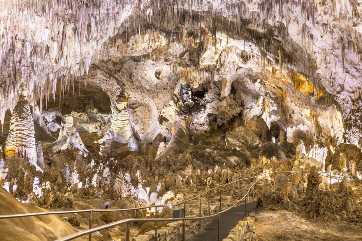 Carlsbad Cavern National Park, New Mexico, USA inside of the Big Room.