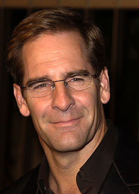 Scott Bakula at the Hollywood premiere of Life as a House