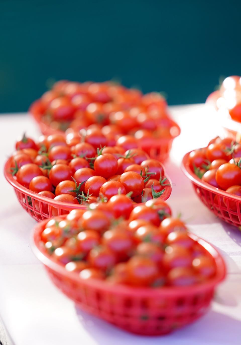 Cherry tomatoes in plastic baskets were sold at the Redding Farmers Market on Oct. 28, 2023. More people, and farmers, are coming to the seasonal weekly farmers market.