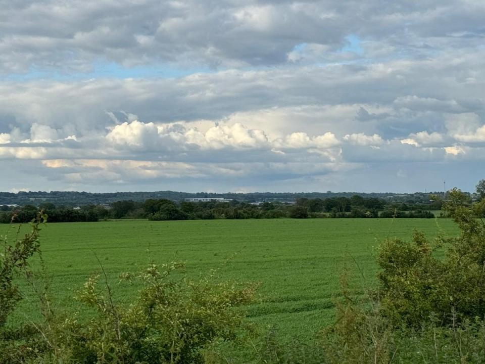 The land for the proposed data centre as it appears now (Danny Leach)