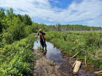 Project team member conducting a field study for the Waasigan Transmission Line project (CNW Group/Hydro One Inc.)