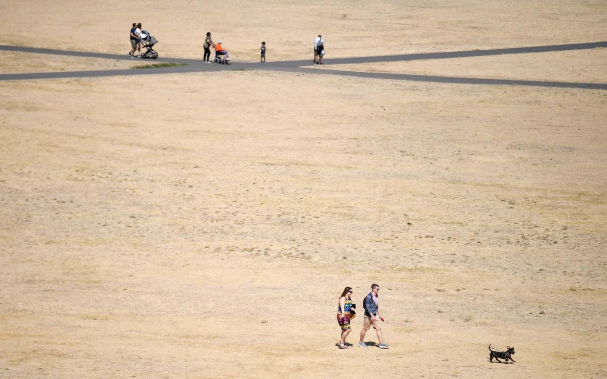 Parched ground in Greenwich Park, London - NEIL HALL/EPA-EFE/Shutterstock