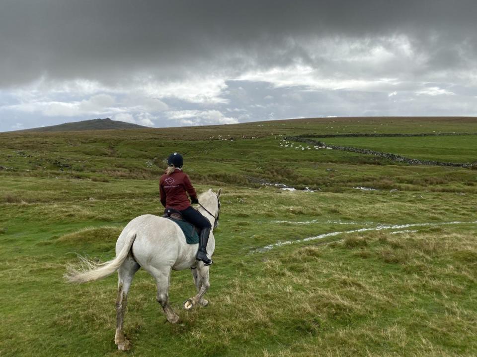 Avondale Travel books travel arrangements off the beaten path, such as an equestrian trip in Dartmoor in the United Kingdom