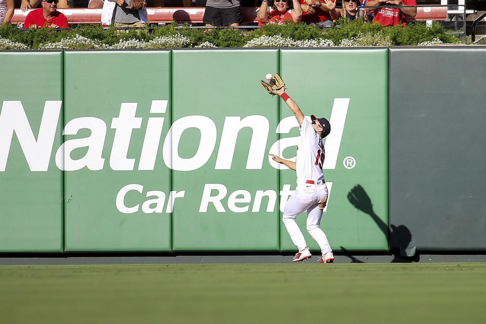St. Louis Cardinals center fielder Tommy Edman (19) catches a fly ball hit by Cincinnati Reds' Luke Maile during the seventh inning of a baseball game Sunday, Oct. 1, 2023, in St. Louis. (AP Photo/Scott Kane)