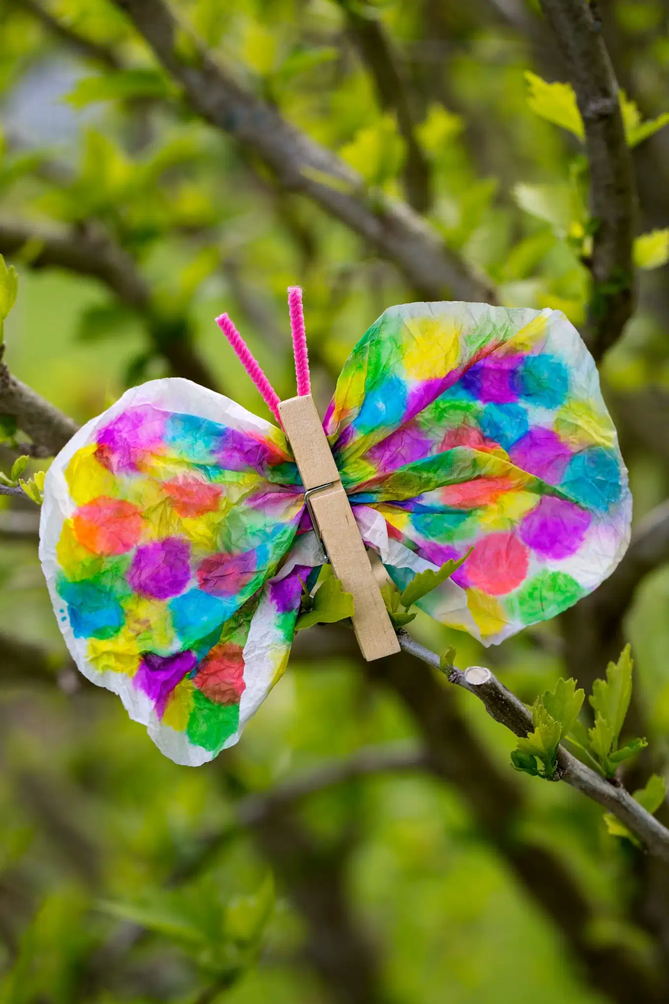 summer crafts painted butterfly