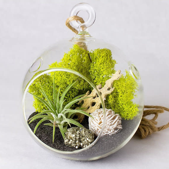 These are easy and fun to assemble gifts that will impress any greenery lover! Shop it <a href="https://www.etsy.com/listing/472892158/hanging-terrarium-kit-with-air-plant?ref=finds_l" target="_blank">here</a>.