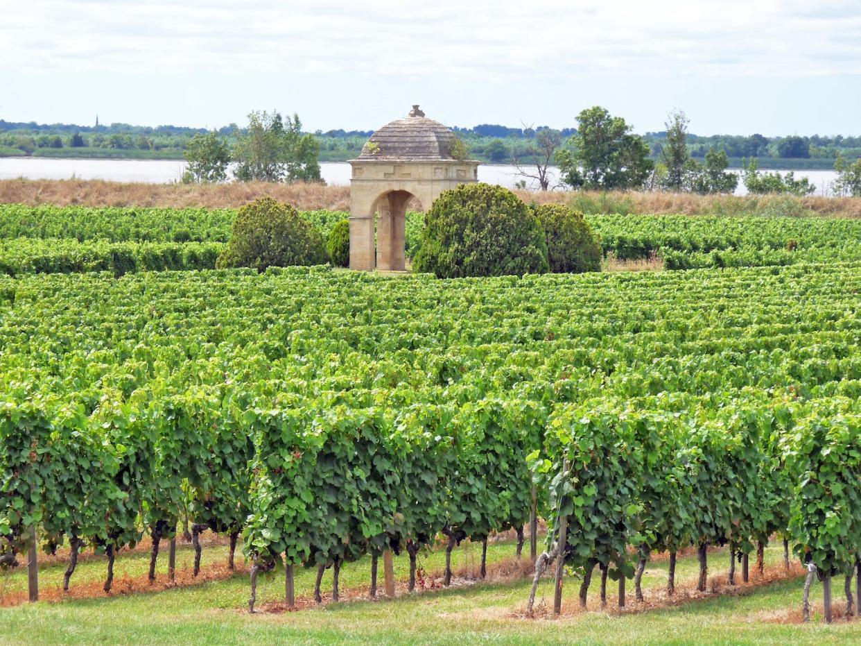 Vignoble bordelais, Cotes de Bourg Château de Barbe Villeneuve. Nicolas Charles, Fourni par l'auteur