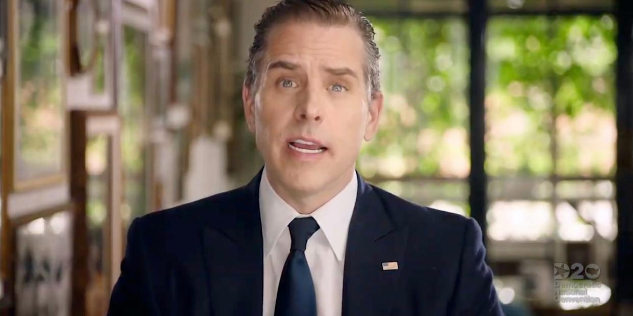 Hunter Biden addresses the virtual Democratic National Convention