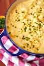 <p>Cauliflower brings creamy texture (plus a serving of veggies) to this stovetop mac.</p><p>Get the recipe from <a href="https://www.delish.com/cooking/recipe-ideas/recipes/a55536/healthy-cauliflower-mac-and-cheese-recipe/" rel="nofollow noopener" target="_blank" data-ylk="slk:Delish;elm:context_link;itc:0;sec:content-canvas" class="link ">Delish</a>.</p>