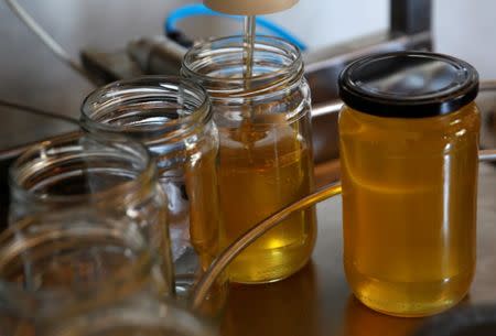 A bottling machine is seen pouring honey into glass jars in Backo Petrovo Selo, Serbia, July 7, 2017, after beekeeper Daniel Ferencz won a grant from the Hungarian government that he used to buy the machine, as well as bees and hives. REUTERS/Bernadett Szabo