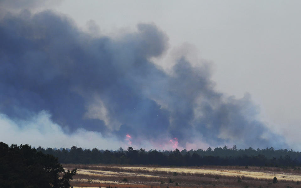 The Spring Hill fire and backfire burns in Woodland Township, N.J., Sunday, March, 31, 2019. Authorities say fire whipped by high winds has spread over thousands of acres of state forest land in the Pinelands of New Jersey. (Ed Murray/NJ Advance Media via AP)