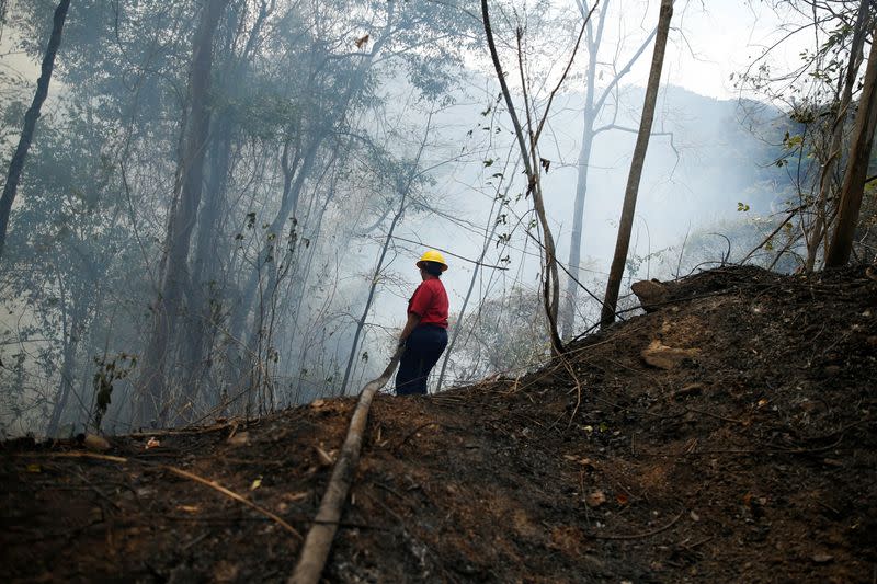 Un voluntario de la brigada de bomberos de la Universidad Central de Venezuela lucha contra un incendio forestal en el Parque Nacional Henri Pittier, en Maracay, Venezuela