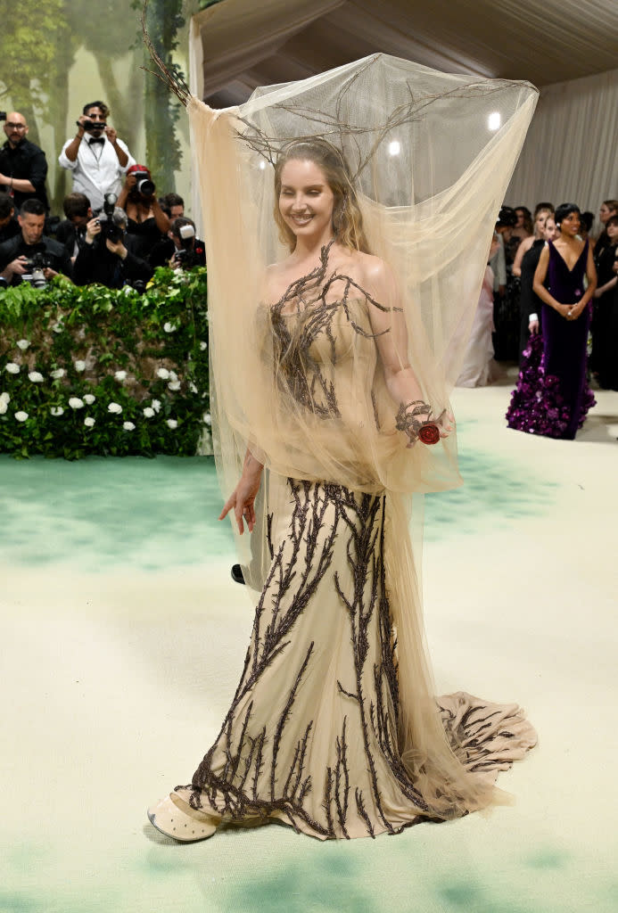 Lana in a sheer gown with branch-like designs, standing with a net headpiece at an event