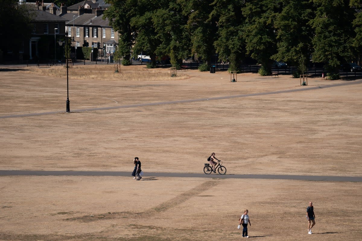 Parched grass on Parker’s Piece in Cambridge on Friday.  (PA)