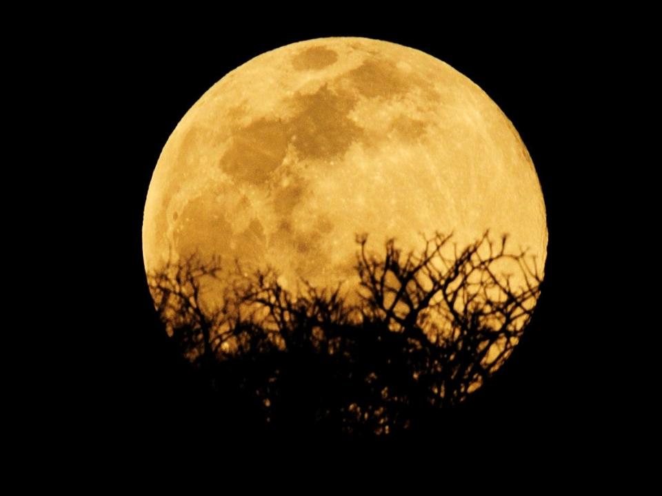 The Harvest Moon on 1 October will be one of two full moons in October 2020 (Getty Images)