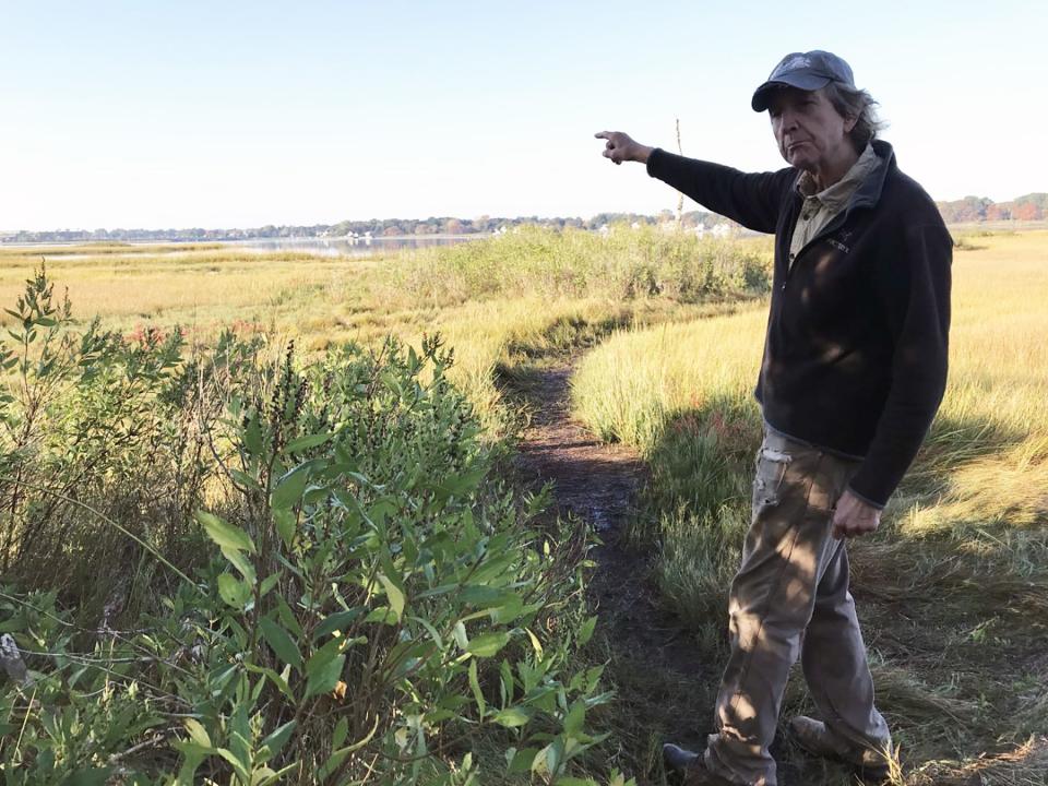 Rock Singewald, president of the Warren Conservation Land Trust, points across the salt marsh along the Palmer River, where salt hay once was harvested.