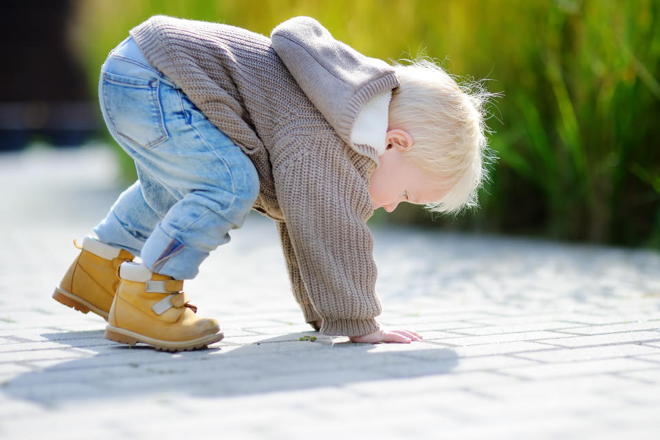 Active toddler boy having fun outdoors at sunny spring or autumn day