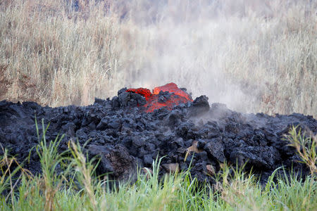 Gases rise from a fissure on the outskirts of Pahoa during ongoing eruptions of the Kilauea Volcano in Hawaii, U.S., May 14, 2018. REUTERS/Terray Sylvester