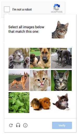 Traditional CAPTCHA prompts will ask users to identify an object in a set of images, such as a cat. Google