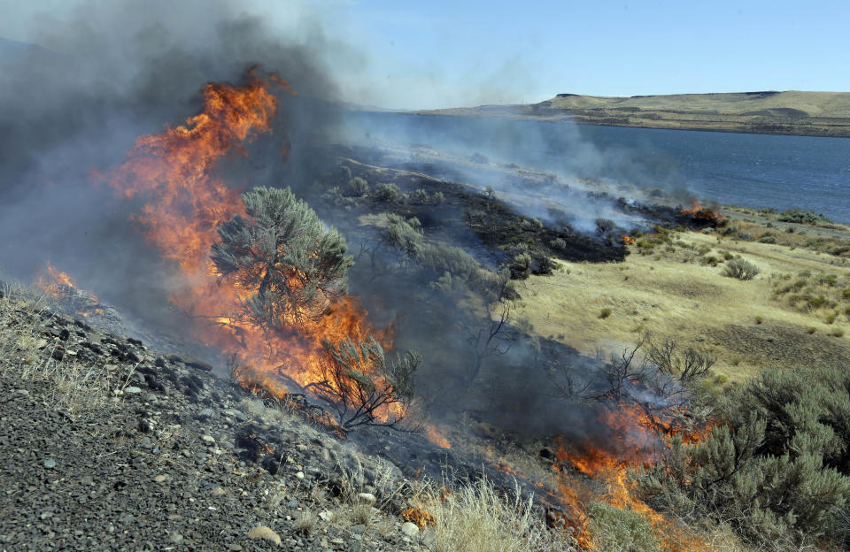 FILE - In this Aug. 5, 2015, file photo, a wildfire consumes sagebrush as firefighters let it march down to the Columbia River on the edge of Roosevelt, Wash. Federal officials have released a plan intended to reduce the size of giant rangeland wildfires that have become an increasing problem in the Great Basin for cattle ranchers, recreationists and some 350 species of wildlife, including imperiled sage grouse. (AP Photo/Don Ryan, File)