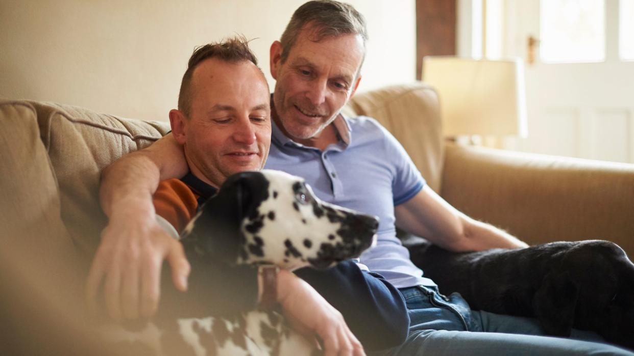 Dalmatian dog sitting on a sofa with two men