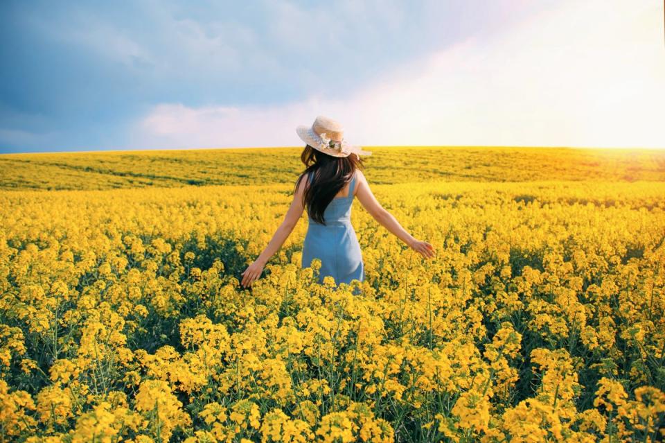 Australia’s ‘fields of gold’ are found in the states of New South Wales and Victoria (Getty Images/iStockphoto)