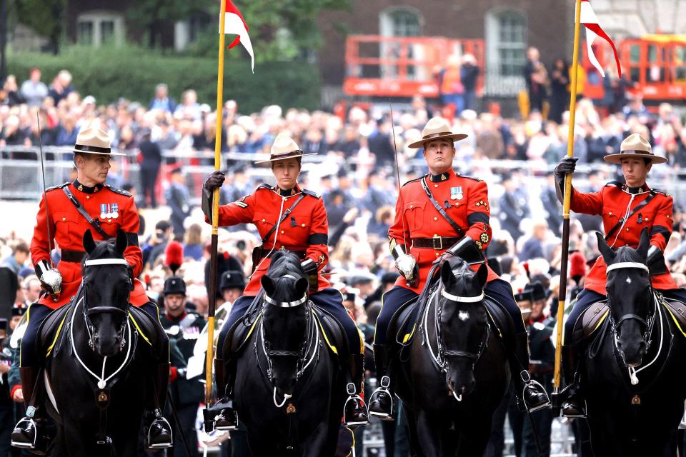 royal canadian mounties