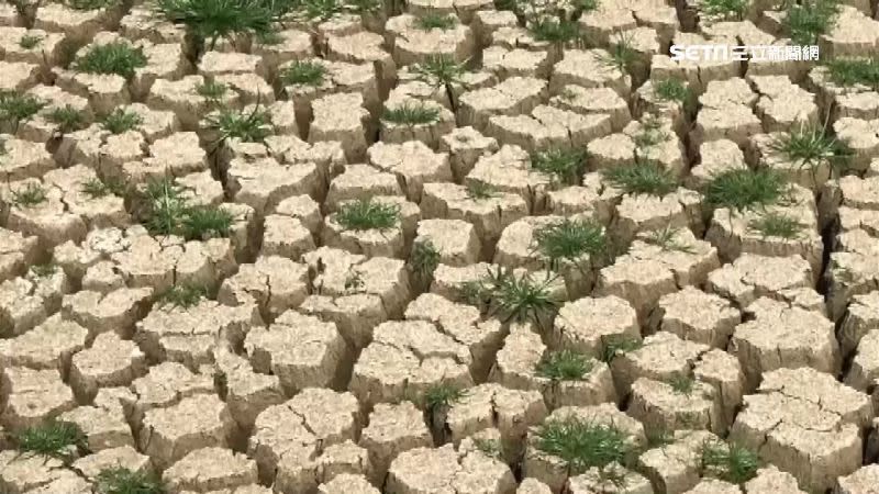 赤山龍湖巖池塘乾涸見底，和過往景象成強烈對比。