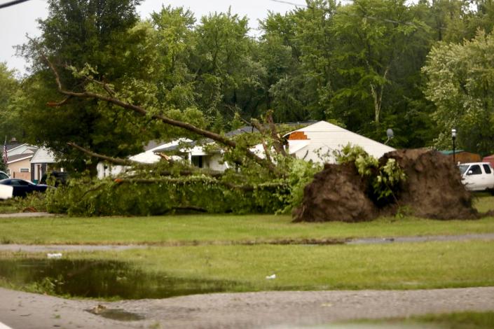 A large tree is seen uprooted along Ohio 48 following a confirmed tornado, Wednesday, July 6, 2022, near Goshen Township, Ohio.