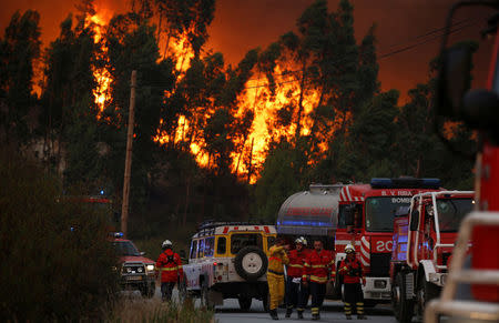 Firefighters work to put out a forest fire next to the village of Macao, near Castelo Branco, Portugal, July 26, 2017. REUTERS/Rafael Marchante