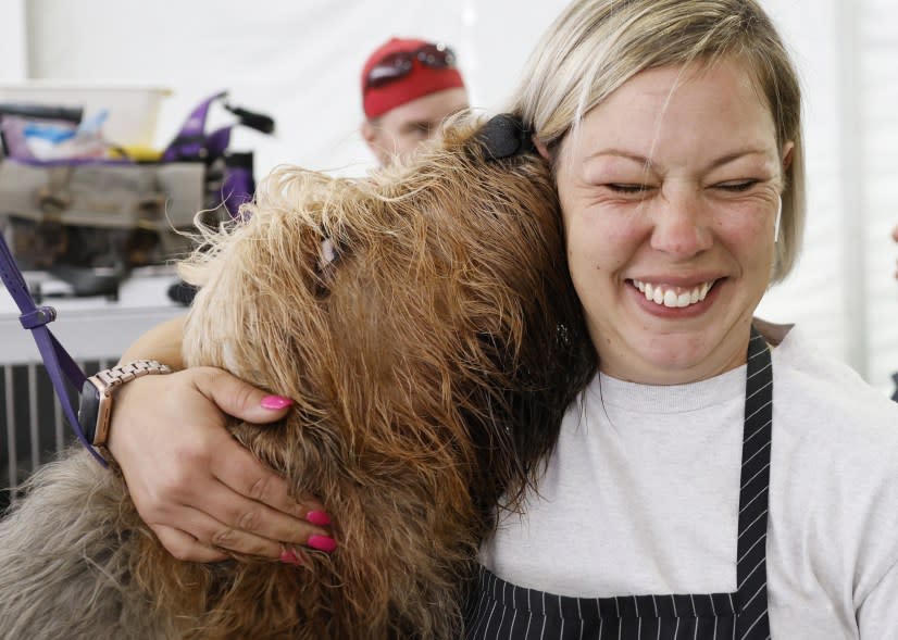 The 148th Annual Westminster Kennel Club Dog Show presented by Purina Pro Plan at the USTA Billie Jean King National Tennis Center on Monday, May 13, 2024 in New York City.