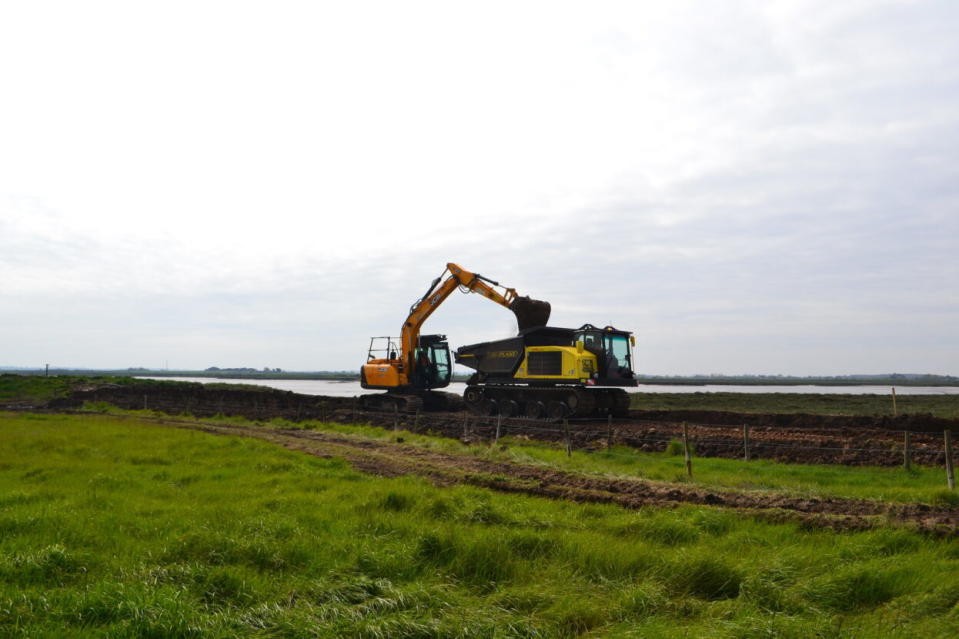A digger being used to lower a sea embankment at Northey Island in Essex. (National Trust/ Ruth McKegney/ PA)