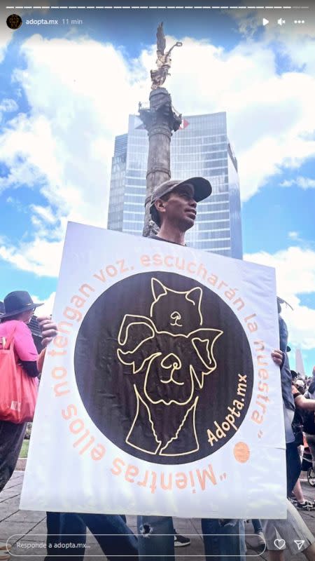 marcha contra el maltrato animal