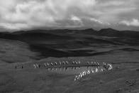 <p>Men dressed like huallatas or andean geese native to the area, perform Tinkuy, a traditional dance of the Andes, in the territory of Chahuaytire before beginning the theatrical courtship with the single women of the highlands community of Pisac, Peru. 2016. (© Sharon Castellanos/VII Mentor Program) </p>