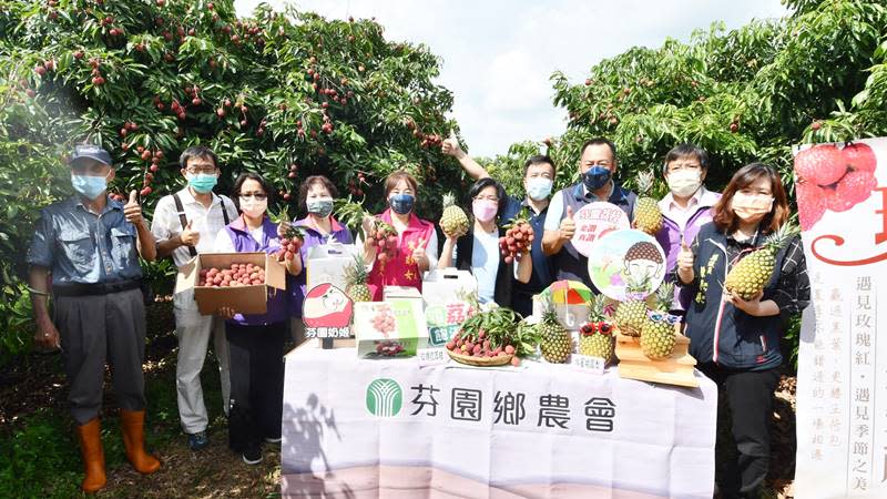 芬園鄉農會玫瑰紅荔枝推廣　拉鍊荔枝一剝就開不沾手