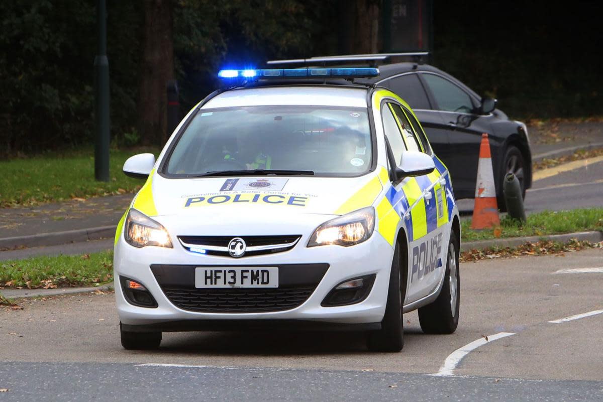 'Response officers are at the very forefront of tackling crime in Dorset' <i>(Image: NQ)</i>