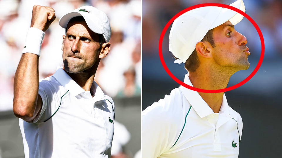 Novak Djokovic blew a kiss towards a section of the crowd after being booed during his Wimbledon semi-final win. Pic: Getty