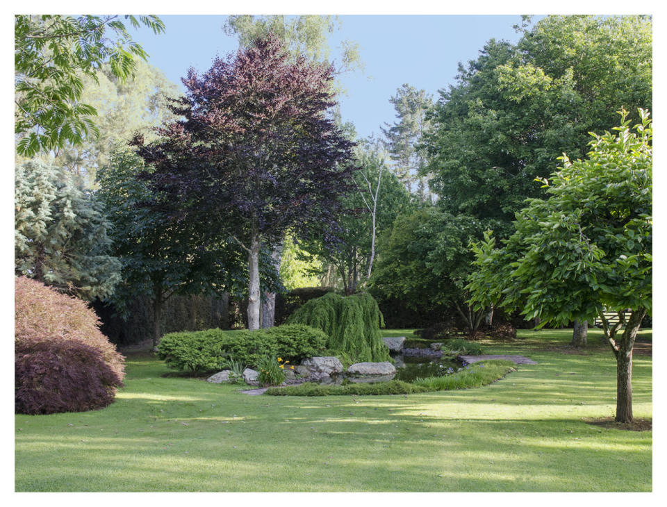 A Meticulously Maintained Garden