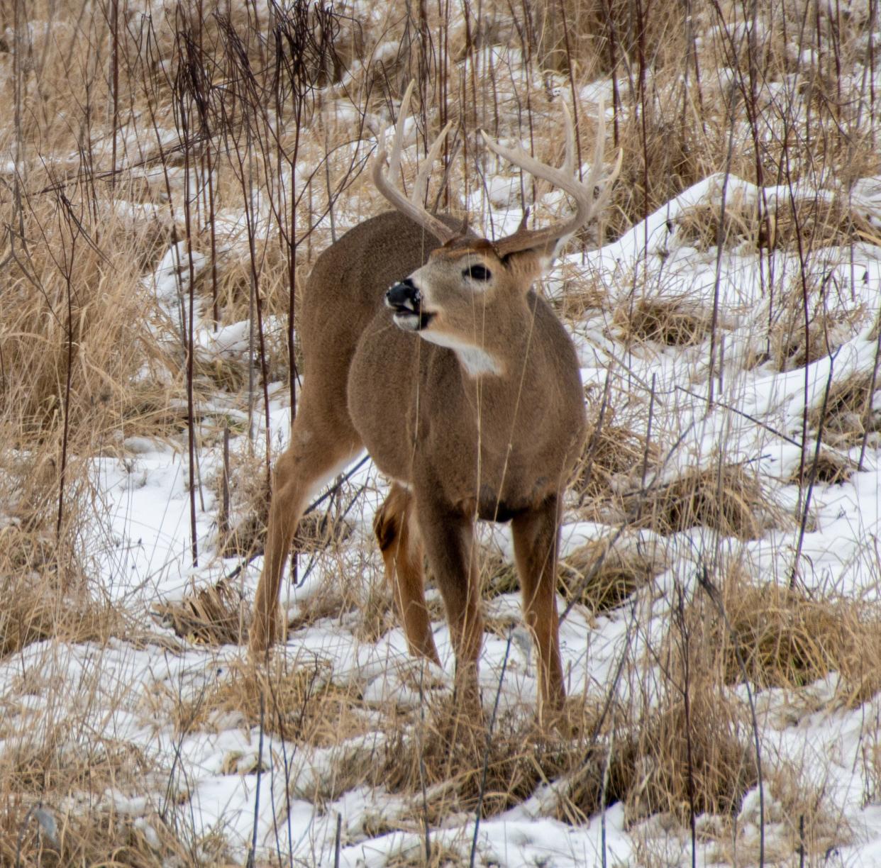 Ohio's deer harvest this past season was the highest in a decade.