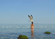 A seagull passes a girl preparing to refresh herself during 35C heat in Black Sea willage of Zatoka, some 60 km from the Ukrainian city of Odessa on August 5, 2012. AFP PHOTO/ SERGEI SUPINSKY