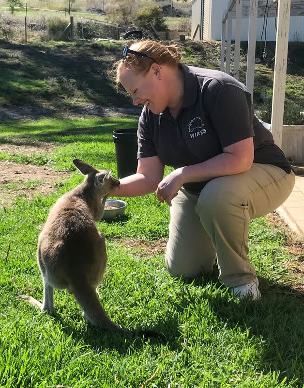 WIRES carer Christie Jarrett pats Daisy, a rescued orphaned eastern grey kangaroo, at her home in Bathurst