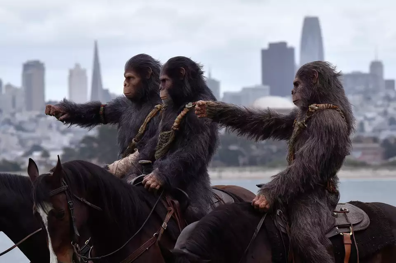 Image: <a class="link " href="https://www.sfgate.com/sf-culture/article/planet-apes-horseback-golden-gate-bridge-19418820.php" rel="nofollow noopener" target="_blank" data-ylk="slk:Charles Russo/SFGATE;elm:context_link;itc:0;sec:content-canvas">Charles Russo/SFGATE</a>