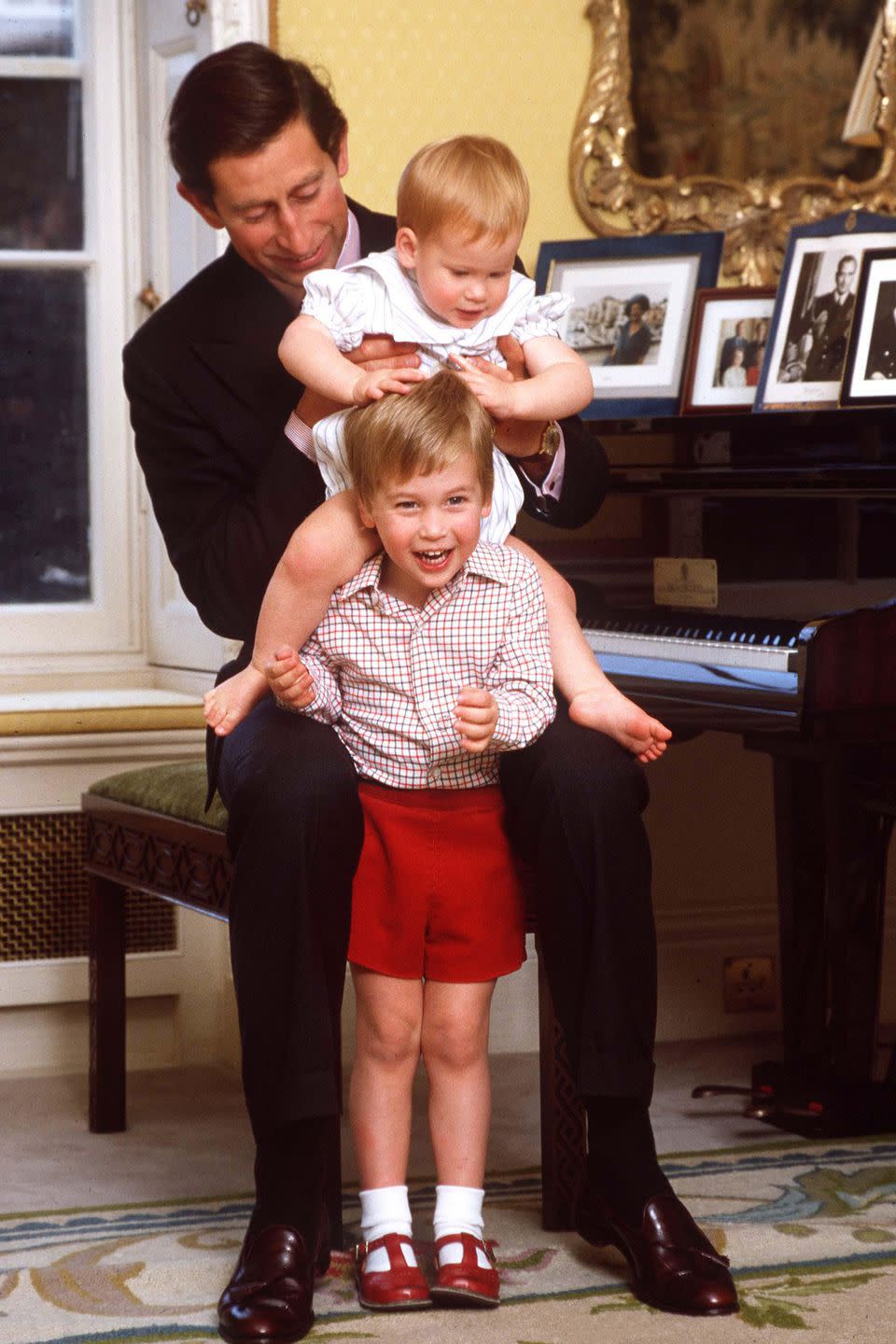 <p>Prince Charles poses with his two sons, Harry and William, for a portrait at Kensington Palace. </p>