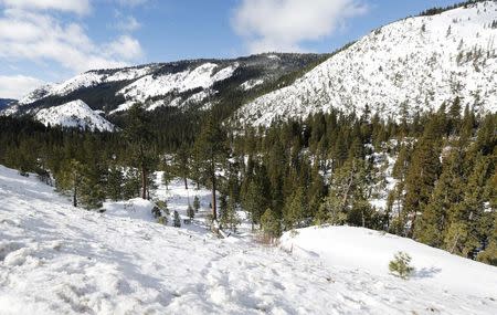 An above-average amount of snow covers the mountains near the location of the first snow survey of winter conducted by the California Department of Water Resources near Phillips, California, December 30, 2015. REUTERS/Fred Greaves