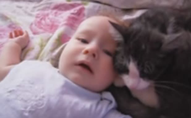 This cat thinks its this baby’s mom, we can’t even deal