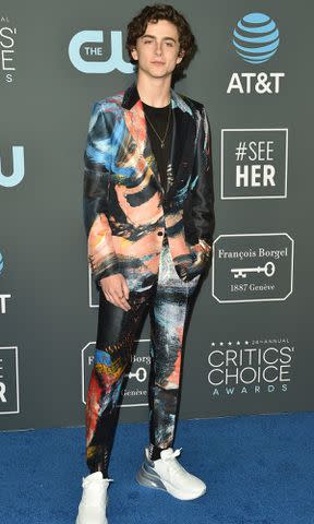 <p>Axelle/Bauer-Griffin/FilmMagic</p> Timothee Chalamet attends the 24th annual Critics' Choice Awards on January 13, 2019 in Santa Monica, California.